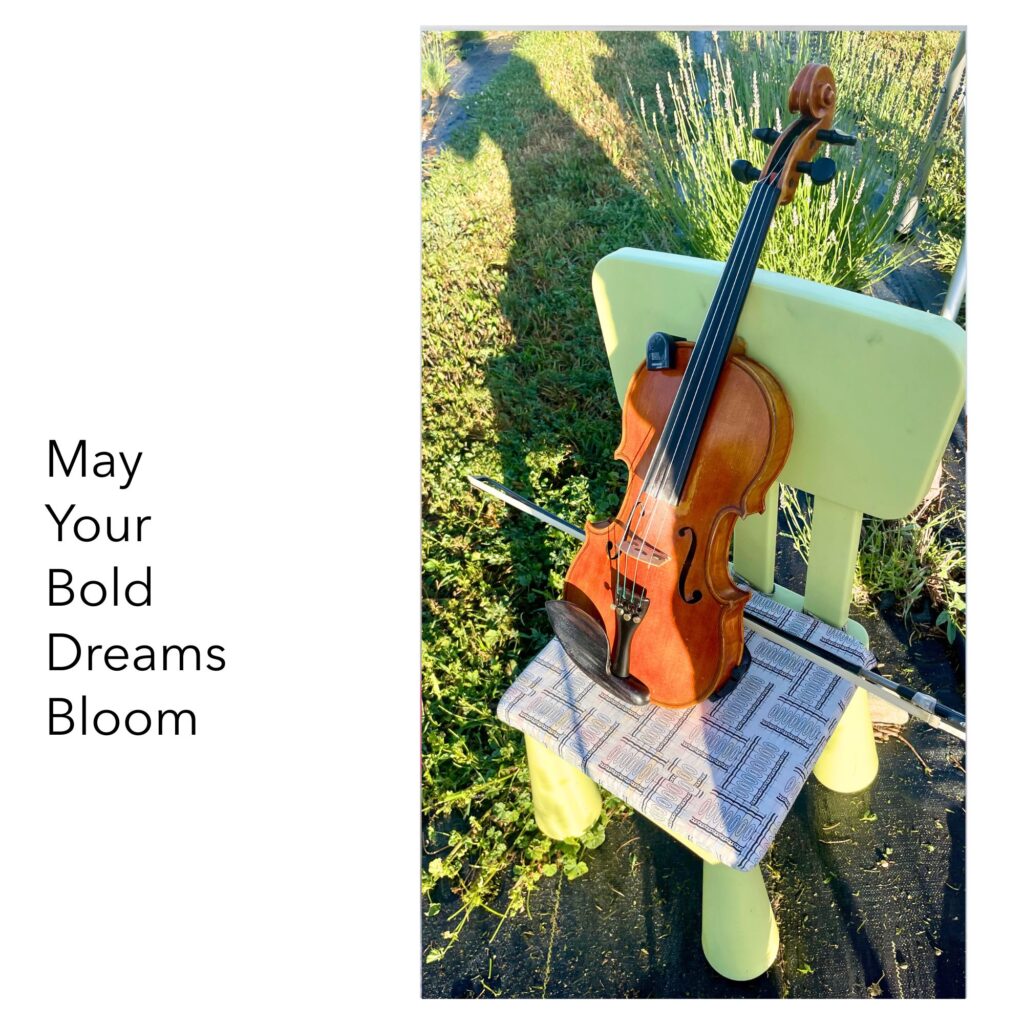 violin on chair in field type left side